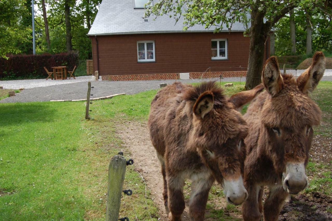 Gites La Charretterie Ourville-en-Caux Kültér fotó